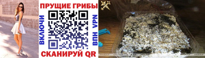 Купить  Ишим  Псилоцибиновые грибы прущие грибы 